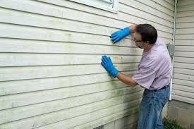 Best Custom Siding Design  in Huntsville, TX